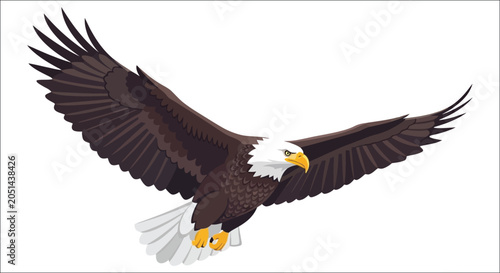 Fotografía Bald Eagle Illustration With Spread Wings On White Background