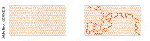 Orange Rectangular Maze Puzzle With Solution Key for Printable Kids Activity Worksheet and Line Art Game