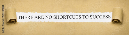 Cuadro en lienzo There are no shortcuts to success