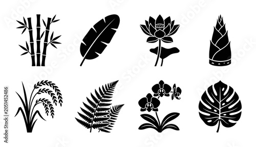 Φωτογραφία Botanical Vector Icons: Bamboo, Banana Leaf, Lotus, Rice, Fern, Orchid, Monstera