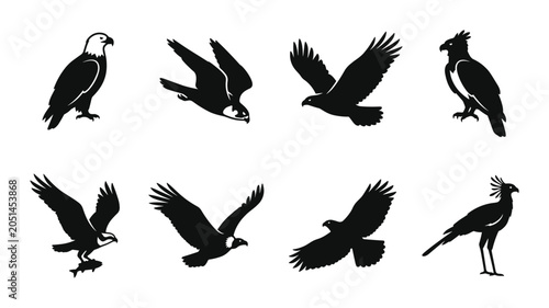Konstfotografi Eagle Silhouette Collection: Majestic Birds of Prey in Flight and Perched, Vecto