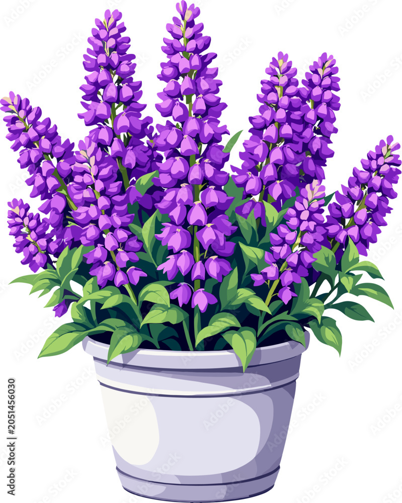 Fototapeta premium Vibrant purple lupine flowers in decorative planter, elegant botanical illustration featuring blooming lupinus blossoms and green foliage