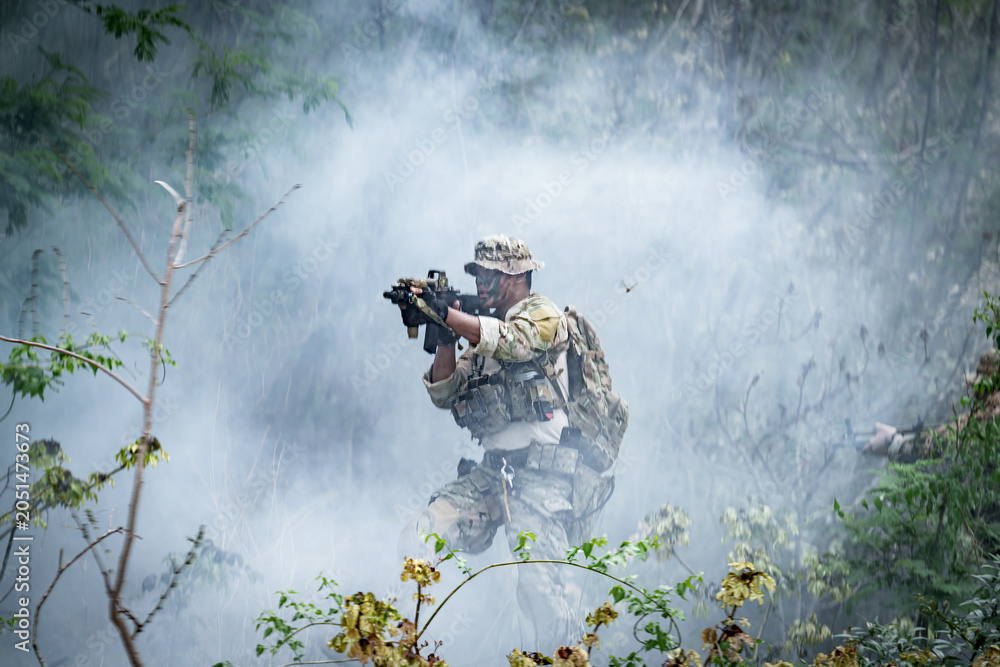 Obraz premium Soldier in camouflage advances through smoke with rifle during military training exercise