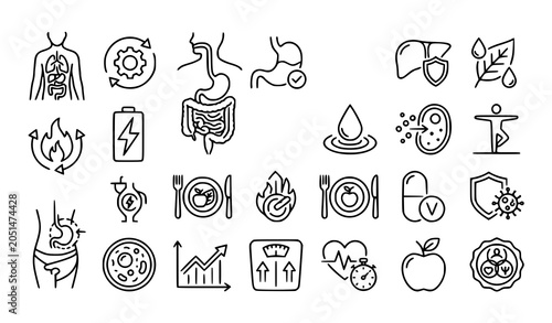 Foto Metabolism and Body Health Outline Icon Set with Detox Digestion and Wellness Sy
