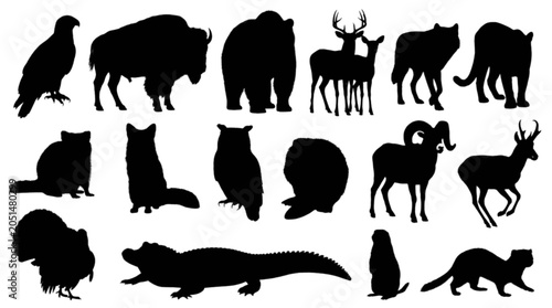 Photography Black silhouettes of various wild animals