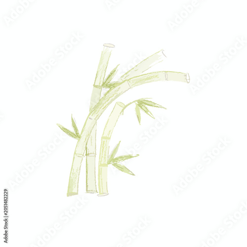 Watercolor Illustration of Green Bamboo Stalks Isolated on White.