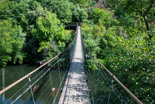 Suspension Bridge Over River in Lush Forest
