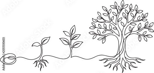 Tree growth stages, continuous line drawing seed, sprout, and mature tree with roots, vector illustration