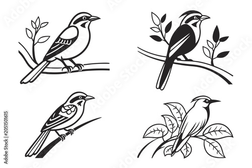 Four birds perched on branches illustration