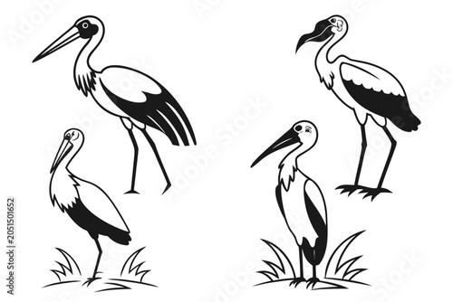 Two storks standing in grassy field