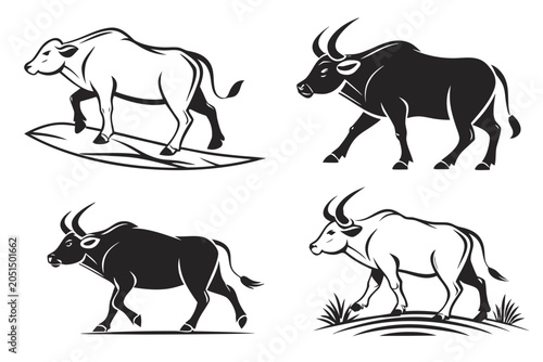 Four black bulls standing in different poses