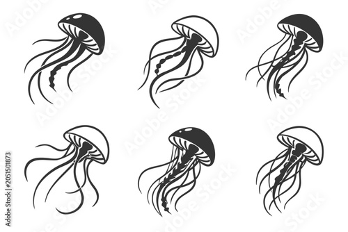 Six jellyfish swimming in black and white