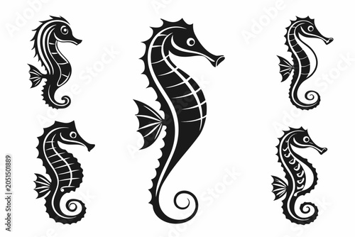 Four stylish seahorses in black and white