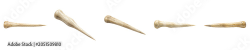 Fotografie Prehistoric Bone Needle Collection: Set of Ancient Hand-Carved Bone Awls and Sew