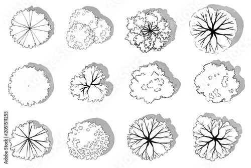 Vector set of Top view  tree for outdoor plan or map and architecture drawing, elements for environment and garden ,botanical elements ,Blooming flowers in spring,tropical plants element