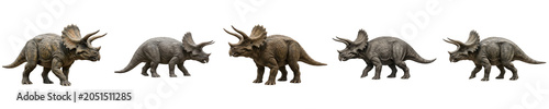 Konstfotografi Triceratops Dinosaur 3D Models: Five Detailed Herbivore Figures with Iconic Horns and Frills, Perfect for Paleontology Exhibits and Digital Design Projects