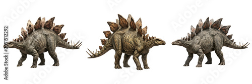 Tableau sur toile Stegosaurus Dinosaur 3D Models: Realistic Prehistoric Herbivore Figures with Detailed Plates and Tail Spikes for Paleontology Education and Digital Design Projects