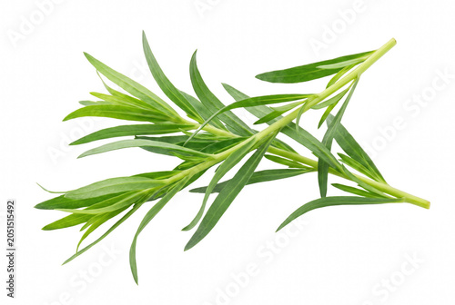Bild auf Leinwand Vibrant Fresh Tarragon Sprigs with Green Slender Leaves