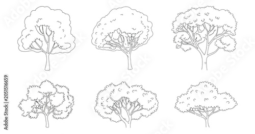 Valokuva Red maple trees, plan and elevation view graphics for architectural visualization, landscape layouts, master plans, and outdoor design documentation, isolated on transparent background