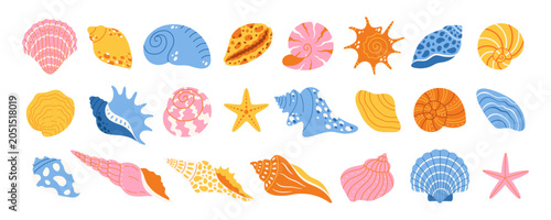 Cute sea shells, conch, scallop, spiral shells collection. Flat vector illustration
