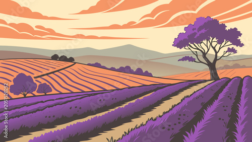 Lavender field sunset landscape illustration with purple flowers, lavender