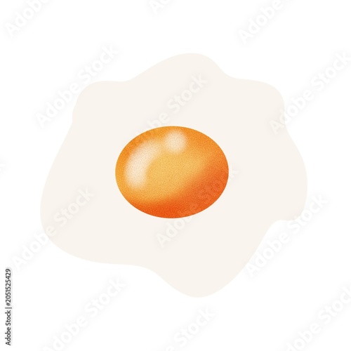fried egg on white background
