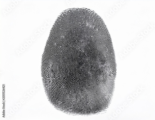 detailed fingerprint pattern isolated on a white background for security identification