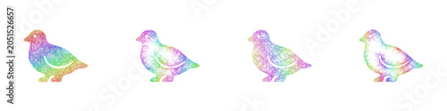Schilderij op canvas Colorful sketch ptarmigan icon design set