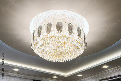 Opulent ceiling chandelier with cascading crystal droplets, gold accents, and distinctive feather-shaped ornaments, mounted on a decorative white ceiling rose