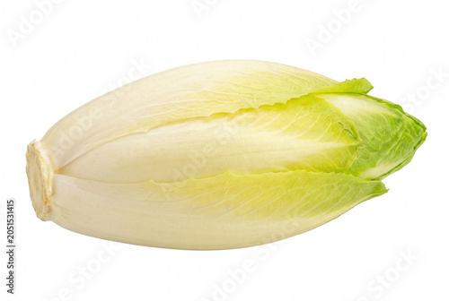 Fotografía Single Fresh Belgian Endive Head Isolated