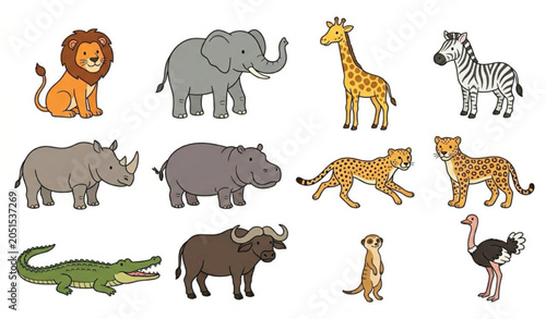Photography Cute Woodland Animals Cartoon Vector Set with Forest Wildlife Characters