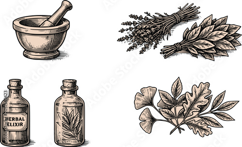 Cuadro en lienzo Herbal medicine vintage engraving set with mortar and elixir bottles