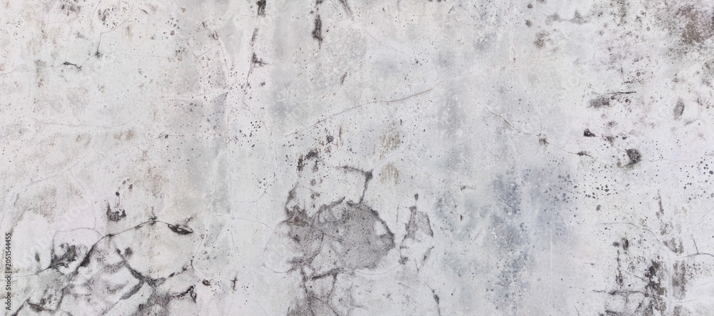 Fototapeta premium white wall texture
