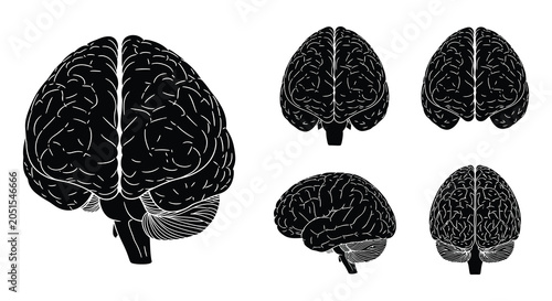 Vászonkép Human brain anatomy illustration with detailed convolutions in black silhouette