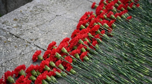 Red carnations laid in remembrance on stone surface memorial flowers respectful tribute