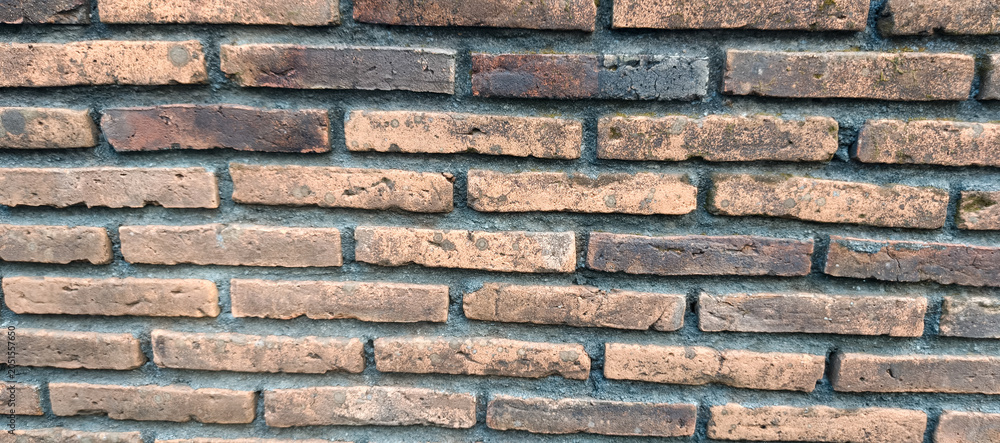 Fototapeta premium brick wall background