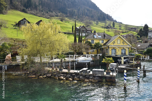 Rives du lac des Quatre-Cantons. Suisse	