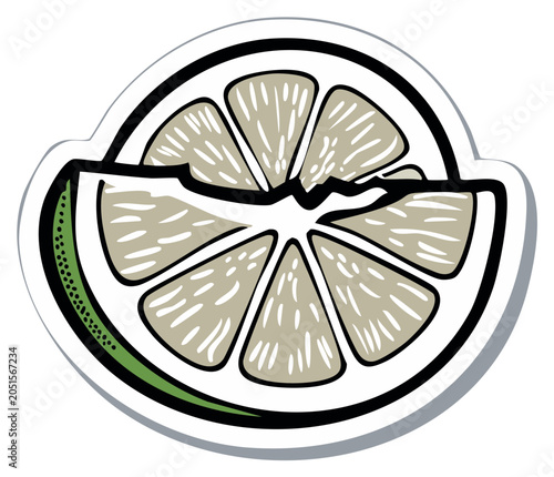 Hand drawn lime slice with green rind and segment detail graphic illustration