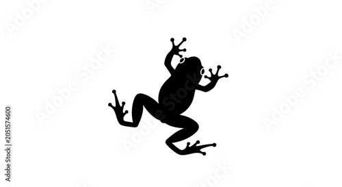 Black silhouette of a frog with splayed limbs, viewed from above, against a plain white background.