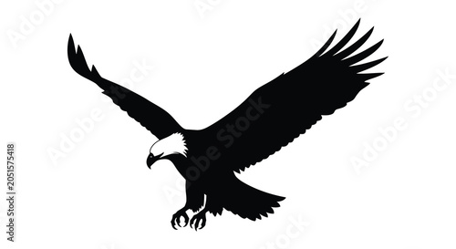 Bild auf Leinwand Bald Eagle In Flight Black Silhouette Against White Background Silhouette