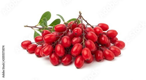 Barberries with green leaves on white background