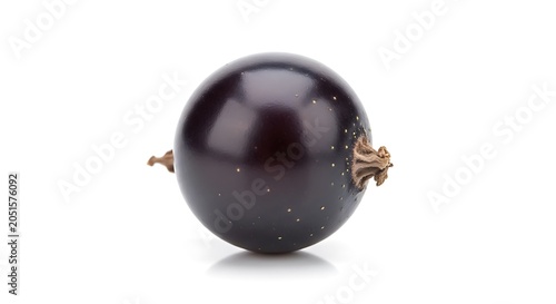 Black Pearl Earring with Gold Clasp