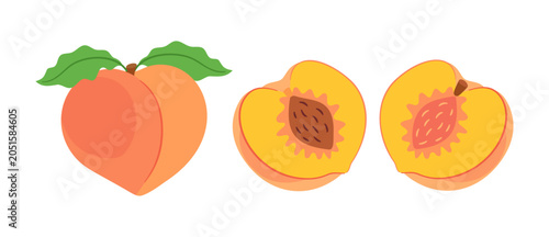 Whole fresh peach fruit with green leaves and two cut halves showing seed pits. Hand drawn flat style isolated. For stickers, menus, posters, food packaging, recipe blogs, organic grocery branding.