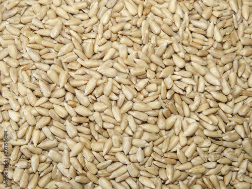 Pile of raw sunflower seeds