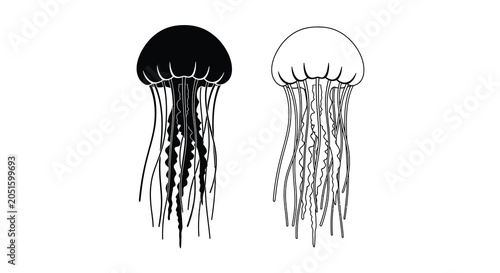 Two Jellyfish Illustrations In Black And White Silhouette