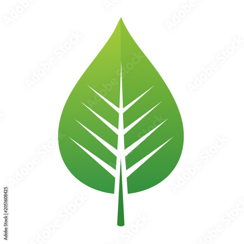 Green leaf icon with white veins on white background