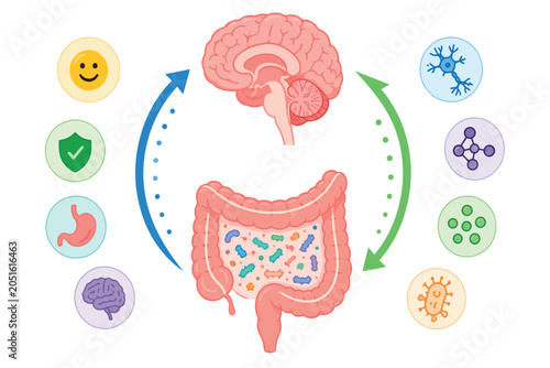 Vsai gut brain axis connection influencing mental wellness and digestion