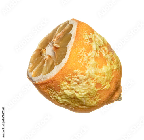 Moldy dried lemon, macro shot on white