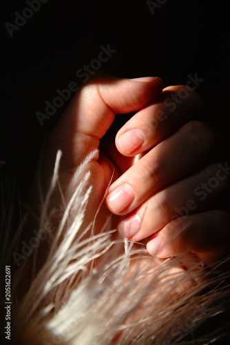 Close up of hand with natural manicure touching soft feathers in dramatic light