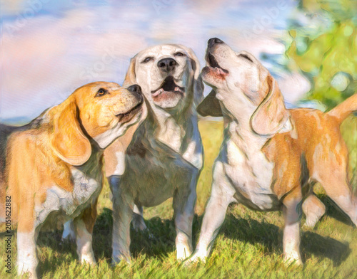 Billede på lærred trio of baying Beagle dogs harmonize on lawn, digital photo art